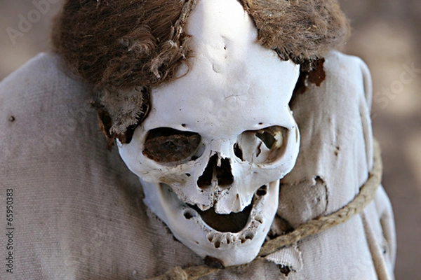 Fototapeta Ancient Skulls