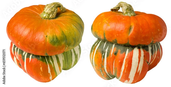 Fototapeta pumpkin isolated on white background