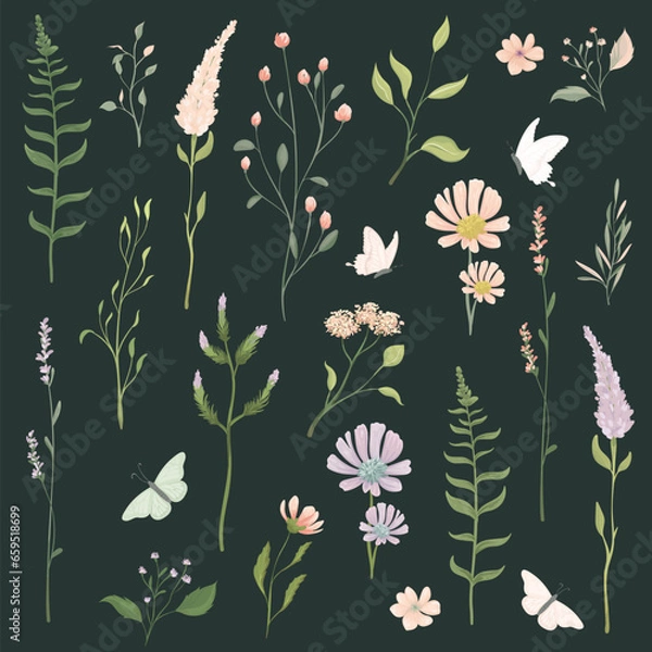 Obraz Collection of floral vector elements. Flowers, twigs and butterflies