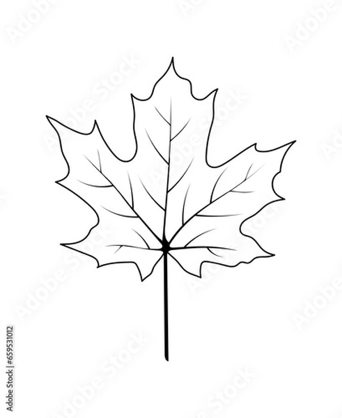 Fototapeta Autumn Maple Leaf