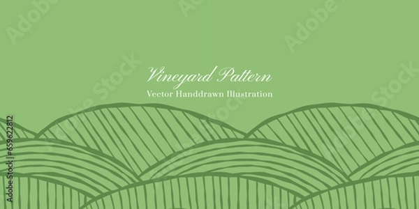 Fototapeta Vineyard seamless vector handdrawn pattern.