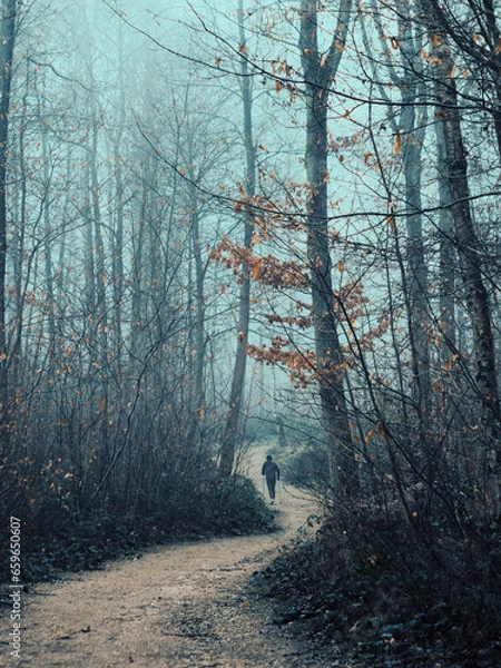 Obraz Man running on path through forest on a very foggy day. Beauty autumn landscape, trees and leaves.