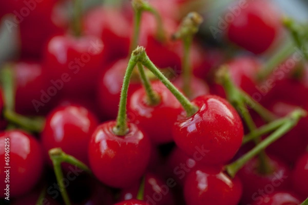 Obraz さくらんぼ