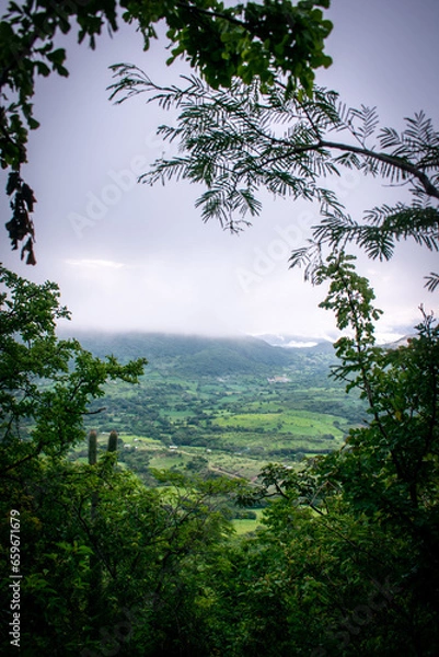 Obraz Bosque desde las alturas