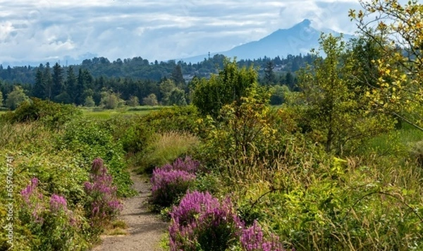 Fototapeta Hiking path on Spencer Island, Snohomish County, Washington