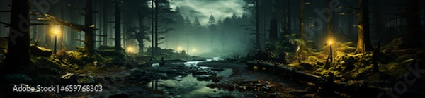 Obraz wide image, dark forest