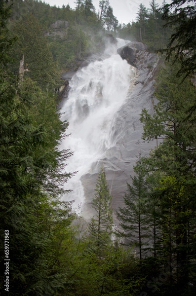 Fototapeta waterfall surrounded by forest