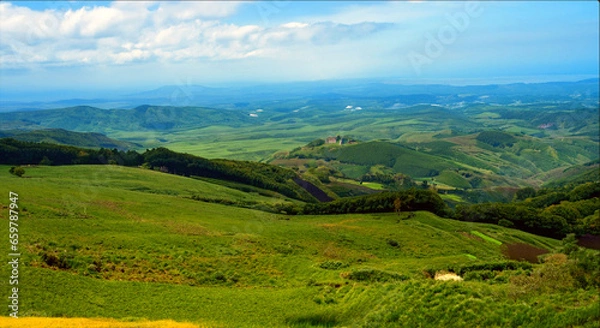 Obraz landscape in the summer