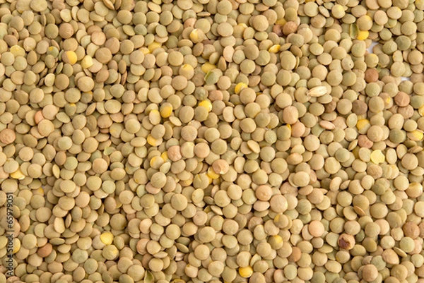 Fototapeta Tellerlinsen