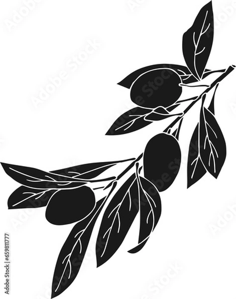 Obraz Black icons olive branches, PNG.
