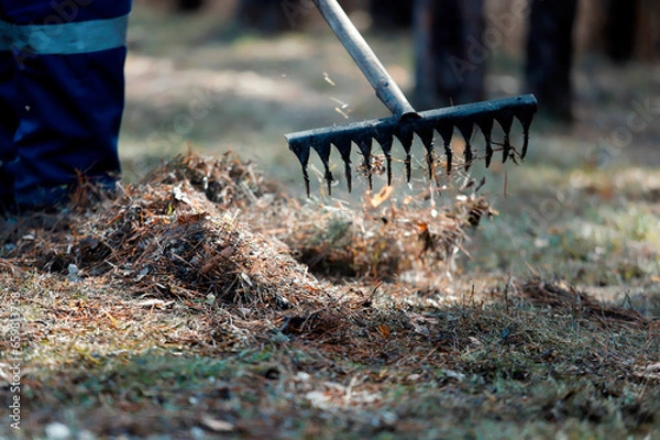 Obraz shovel in the sand