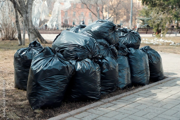 Obraz person in the park