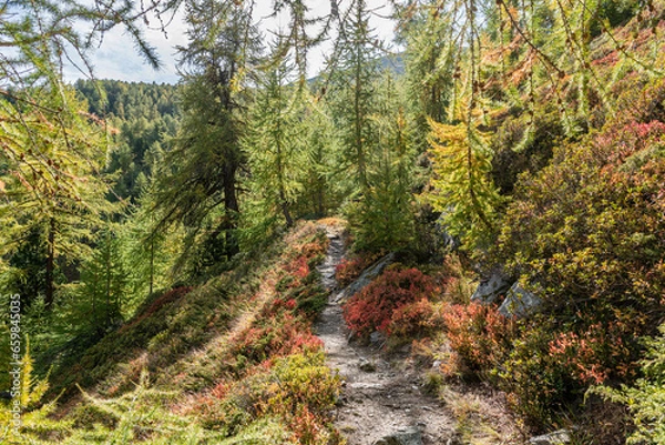 Obraz Herbstwanderweg