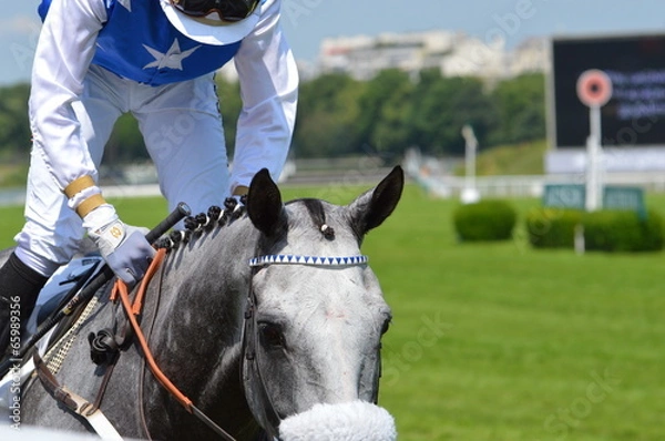 Obraz chevaux de courses