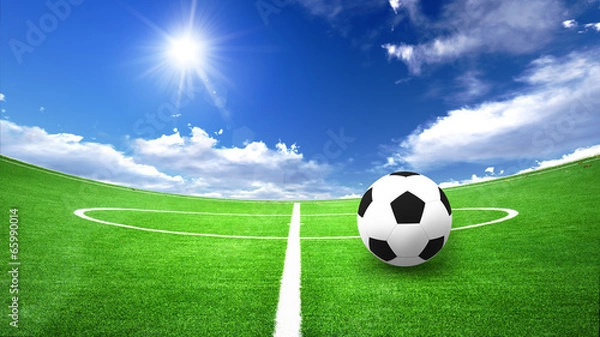 Fototapeta soccer field