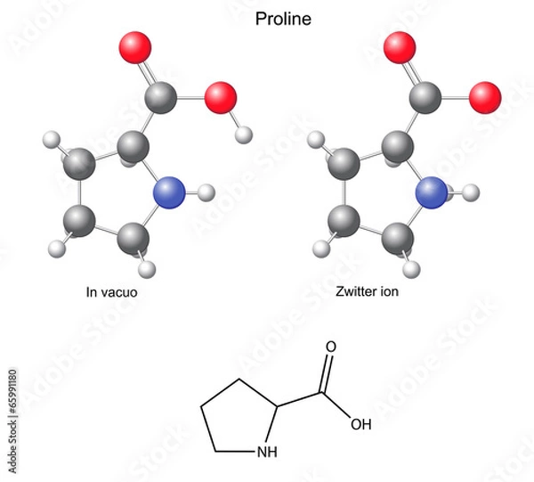Fototapeta Proline (Pro) - chemical structural formula and models