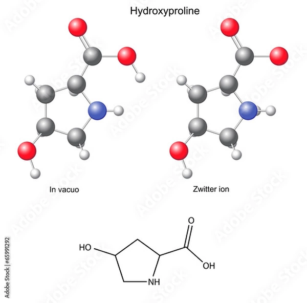 Fototapeta Hydroxyproline (Hyp) - chemical structural formula and models