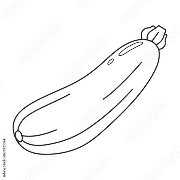 Obraz Zucchini vector icon. Oblong squash. Vegetable. organic ingredient.