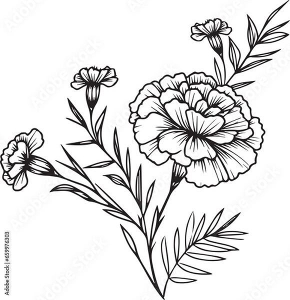 Fototapeta , simple marigold line drawing, marigold flower tattoo drawing, traditional marigold tattoo, black marigold tattoo, american traditional marigold tattoo, marigold flower tattoo drawing