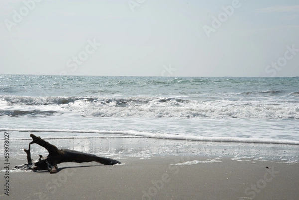 Obraz 浜辺、海（beach　SEA　side）