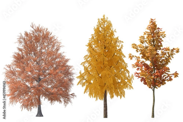 Fototapeta tree isolated