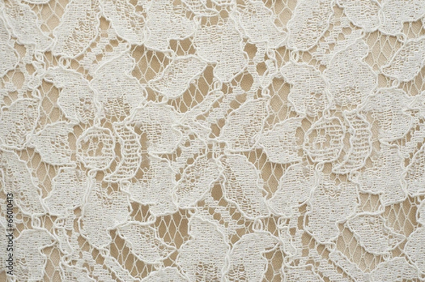 Obraz Flower lace pattern.