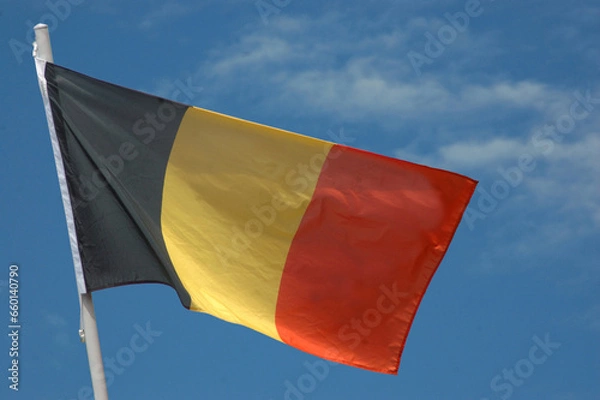 Fototapeta Belgian flag