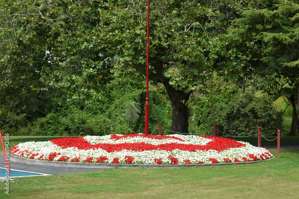 Fototapeta circular flower bed