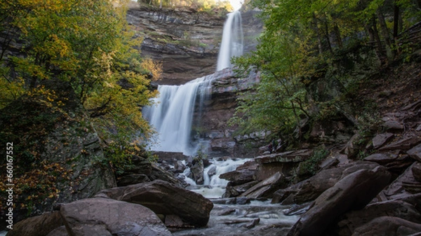 Obraz waterfall in the forest