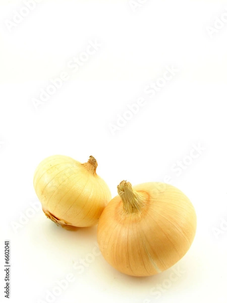 Fototapeta Onion