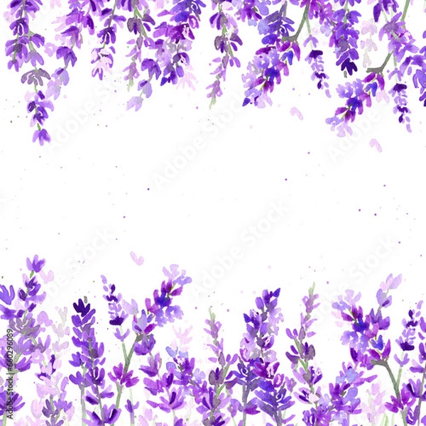Fototapeta Watercolor lavender illustration for banner and poscard. Botanical elegant frame for invitation in provence style