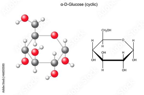 Fototapeta Structural chemical formula and model of alpha-D- glucose