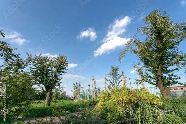 Fototapeta 幸ケ谷公園（神奈川県横浜市神奈川区幸ケ谷）