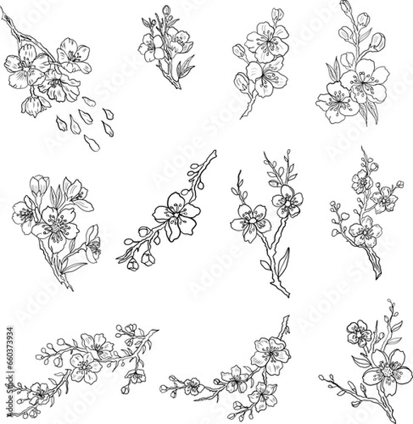 Fototapeta Free hand Sakura flower vector set, Beautiful line art Peach blossom isolate on white background.Branch of cherry blossom for printing on wallpapers and sticker.Japanese flower.Golden line art.
