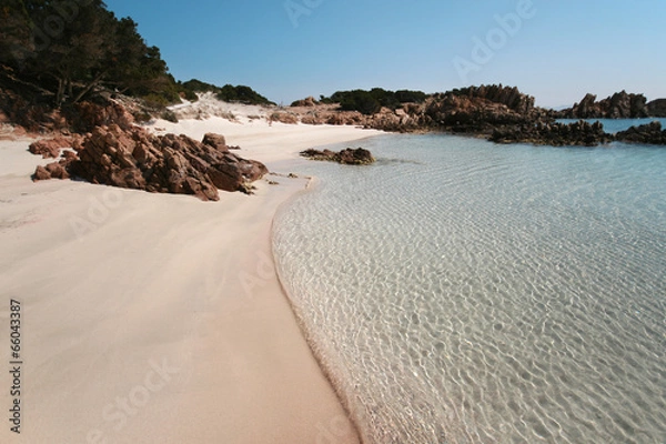 Fototapeta Spiaggia Rosa (Pink Beach) Isola di Budelli