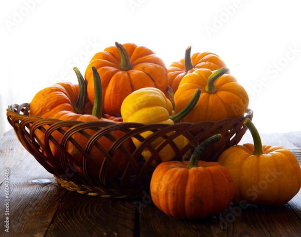 Fototapeta pumpkin