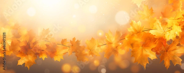 Fototapeta Autumn maple leaves decorative composition with copyspace
