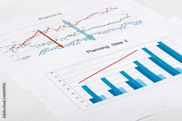 Fototapeta Business graph analysis report.