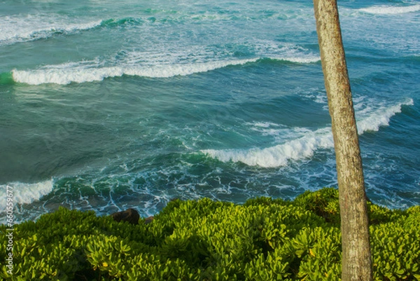 Fototapeta Waves crashing on to the beach at coconut tree hills, Mirissa in southern beach of Sri Lanka