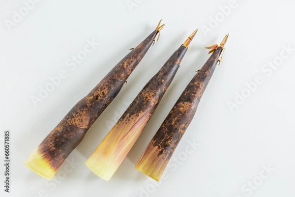 Obraz 真竹のタケノコ