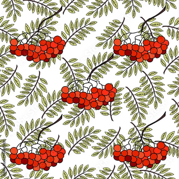 Obraz ashberry with leaves