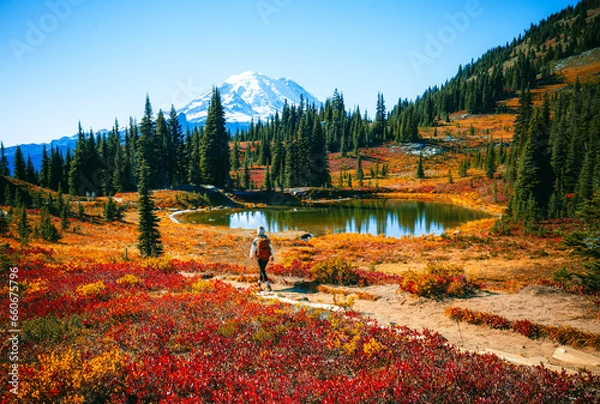Fototapeta Girl hiking Through In The Chinook Pass Area of Mount Rainier National Park at Fall, Naches Peak Loop Trail