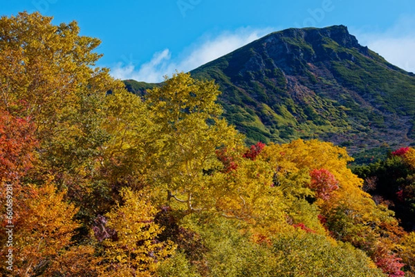 Fototapeta 十勝岳温泉の紅葉