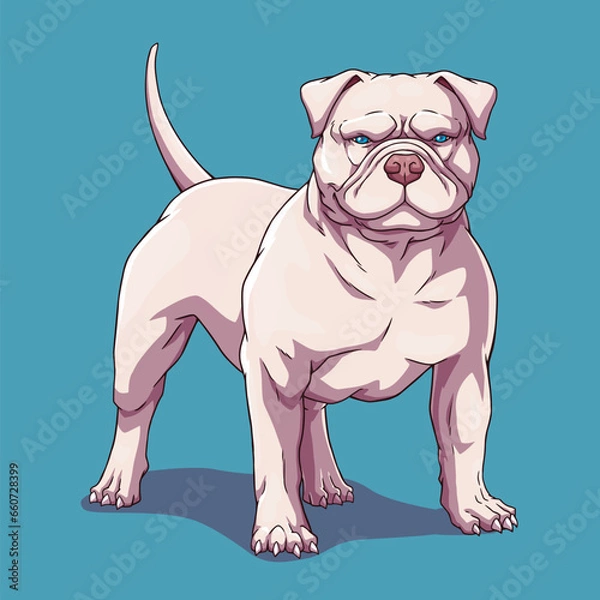 Obraz Dog american bully pitbull white

