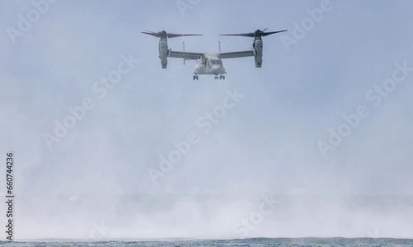 Obraz airplane in the sky