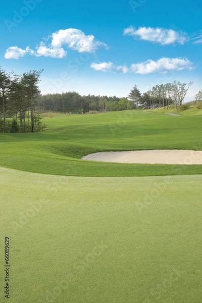 Obraz 골프장 풍경