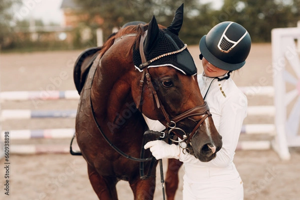 Fototapeta Dressage horse and jockey rider in uniform portrait during equestrian jumping competition show