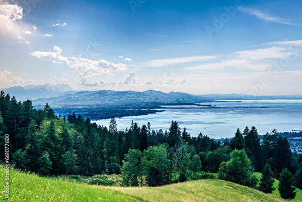 Obraz Der Bodensee hinter einem Waldstück