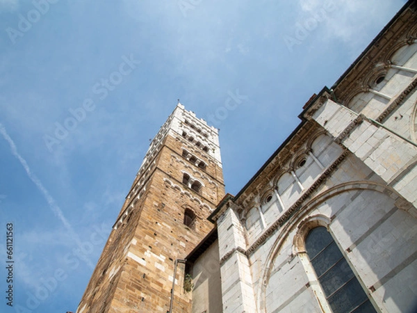 Obraz Guinigi tower in Lucca