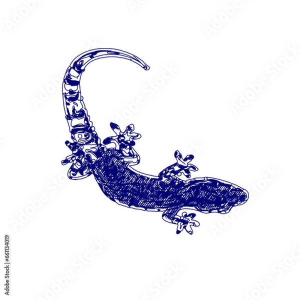 Fototapeta sketch of a lizard for elements in making logos and symbols